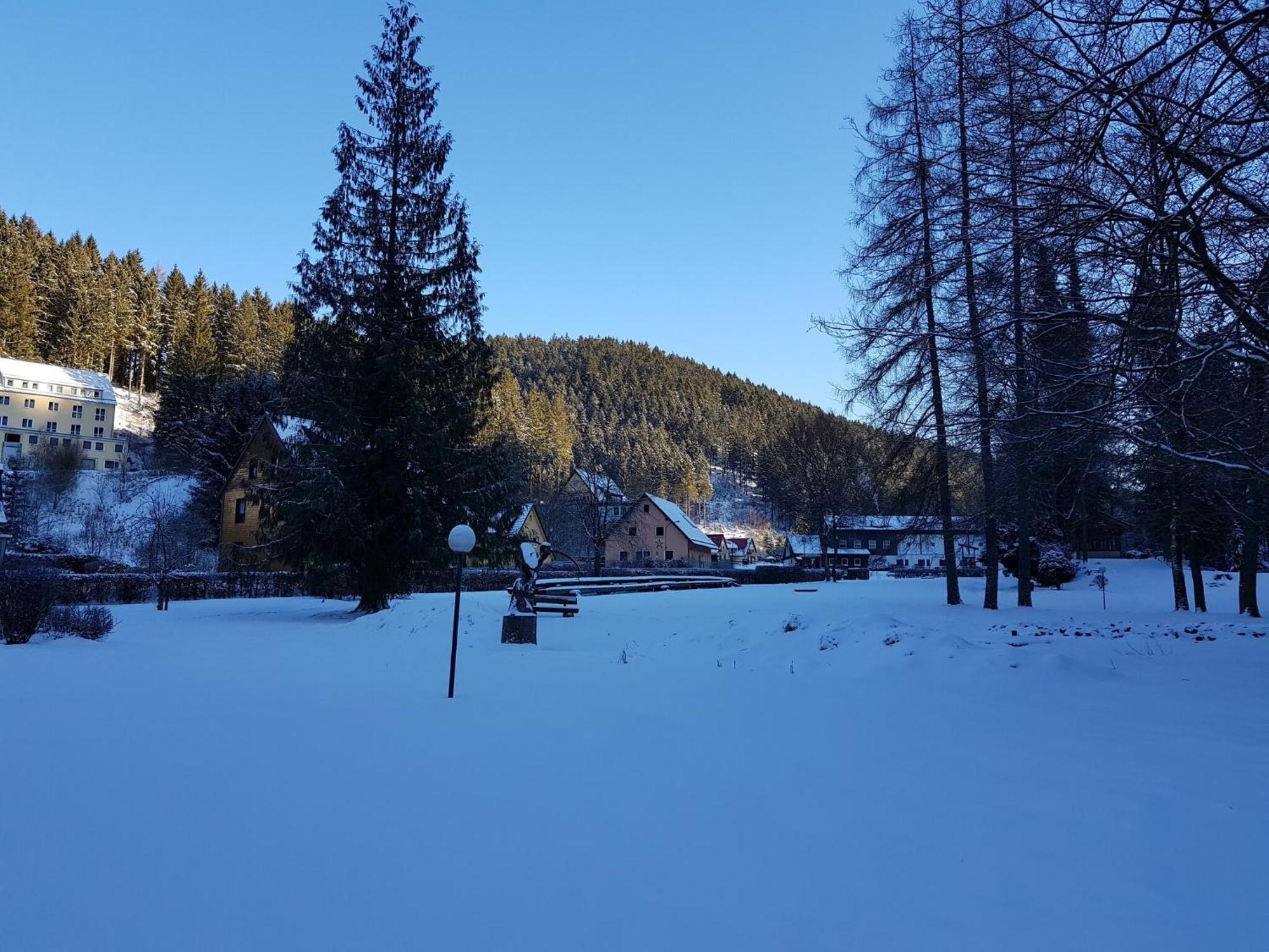 Appartamento Adorable Aparment In Wildemann With Parking Esterno foto