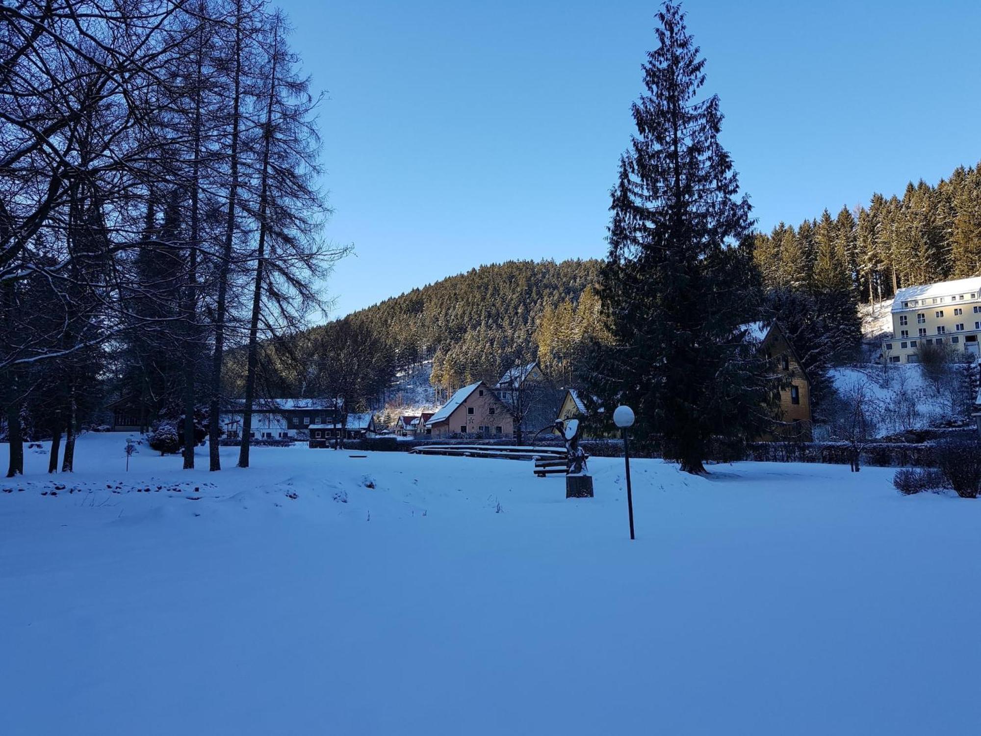 Appartamento Adorable Aparment In Wildemann With Parking Esterno foto